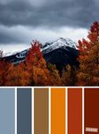 59 Pretty Autumn Color Schemes Smokey + Orange Fall color sc